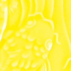 Amaco Color LG Gloss Glaze Canary Yellow Amaco Color LG Gloss Glaze Canary Yellow