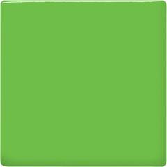 Amaco Color Teachers Palette Glaze Green Leaf Amaco Color Teachers Palette Glaze Green Leaf