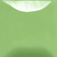 Mayco Color Foundation Green Apple