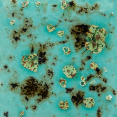 Mayco Color Jungle Gems Blue Guppy Mayco Color Jungle Gems Blue Guppy