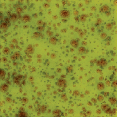 Mayco Color Jungle Gems Pistachio Mayco Color Jungle Gems Pistachio