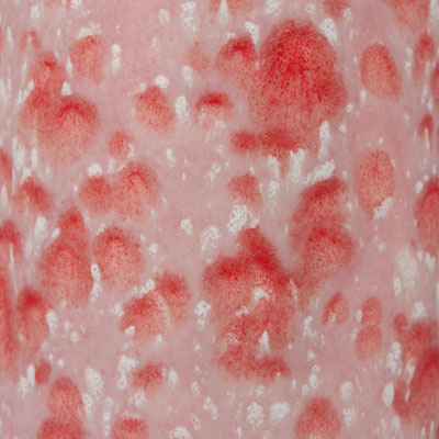 Mayco Color Jungle Gems Peppermint Twist Mayco Color Jungle Gems Peppermint Twist