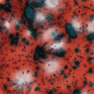 Mayco Color Jungle Gems Coral Puff Mayco Color Jungle Gems Coral Puff