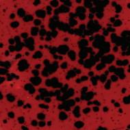 Mayco Color Jungle Gems Ladybug Mayco Color Jungle Gems Ladybug