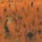 Mayco Color Jungle Gems Oriental Caramel Mayco Color Jungle Gems Oriental Caramel