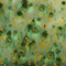 Mayco Color Jungle Gems Herb Garden Mayco Color Jungle Gems Herb Garden