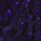 Mayco Color Jungle Gems Celestial Blue Mayco Color Jungle Gems Celestial Blue