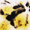 Mayco Color Jungle Gems Cheetah Mayco Color Jungle Gems Cheetah
