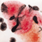 Mayco Color Jungle Gems Poppy Fields Mayco Color Jungle Gems Poppy Fields