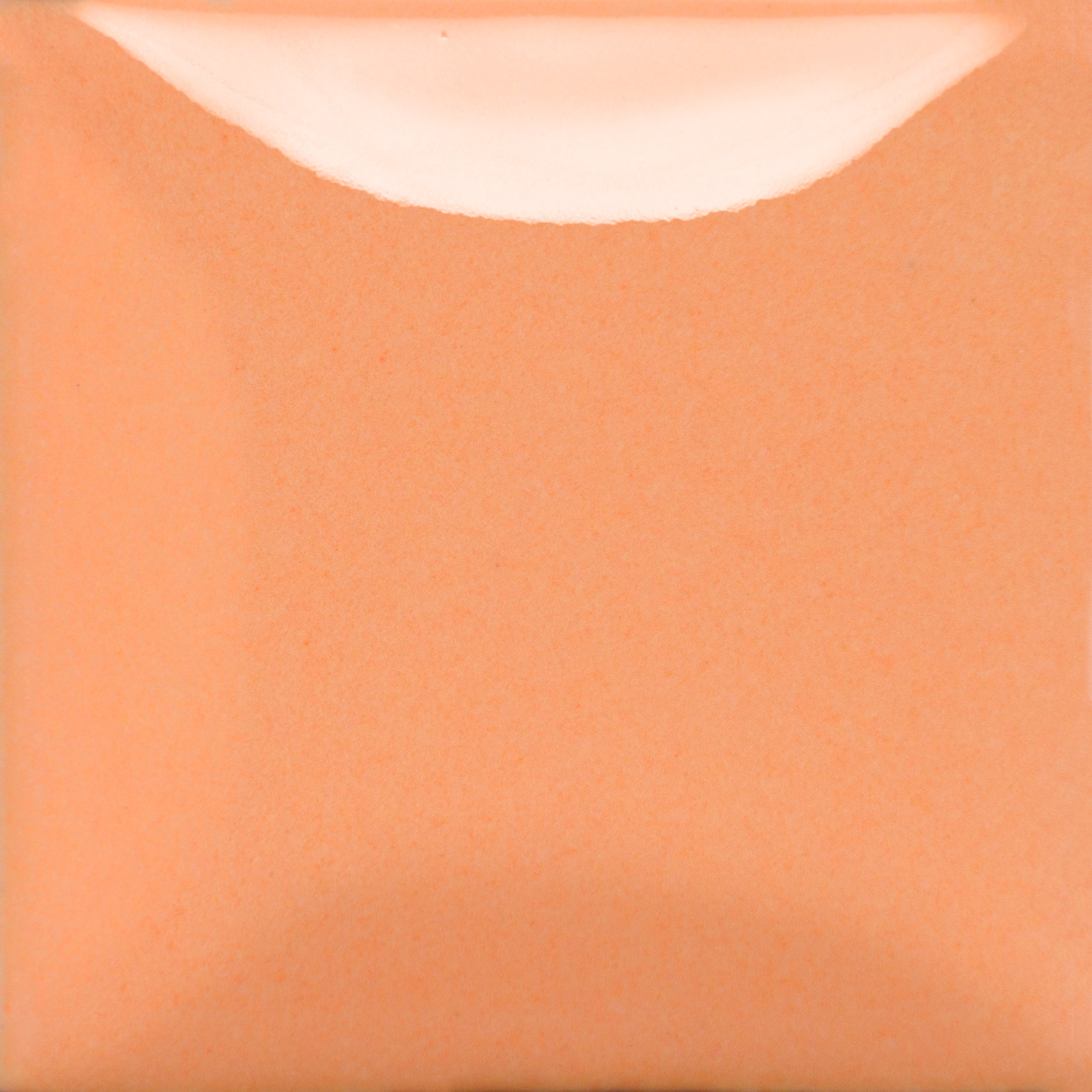 MaycoStrokeandCoat-SC102-JustPeachy MaycoStrokeandCoat-SC102-JustPeachy
