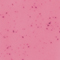 maycosp270pinkadot maycosp270pinkadot