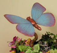 CPIFPButterfly