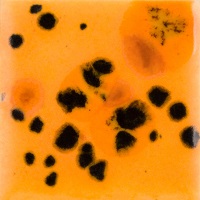 Mayco Color Jungle Gems Papaya Mayco Color Jungle Gems Papaya
